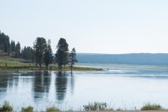 Yellowstone12