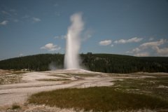 Yellowstone17