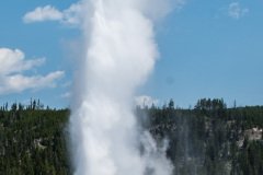 Yellowstone18