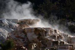 Yellowstone28